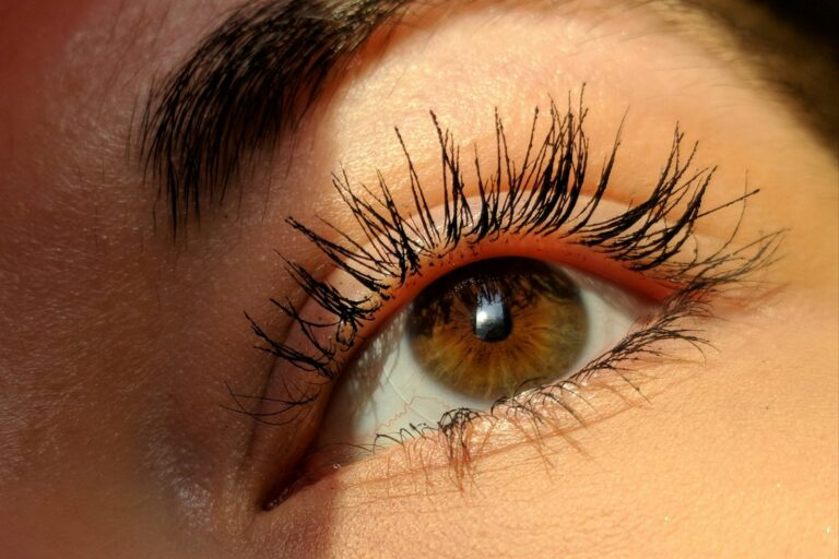 Rehaussement ou extensions de cils : que choisir pour vous ?
