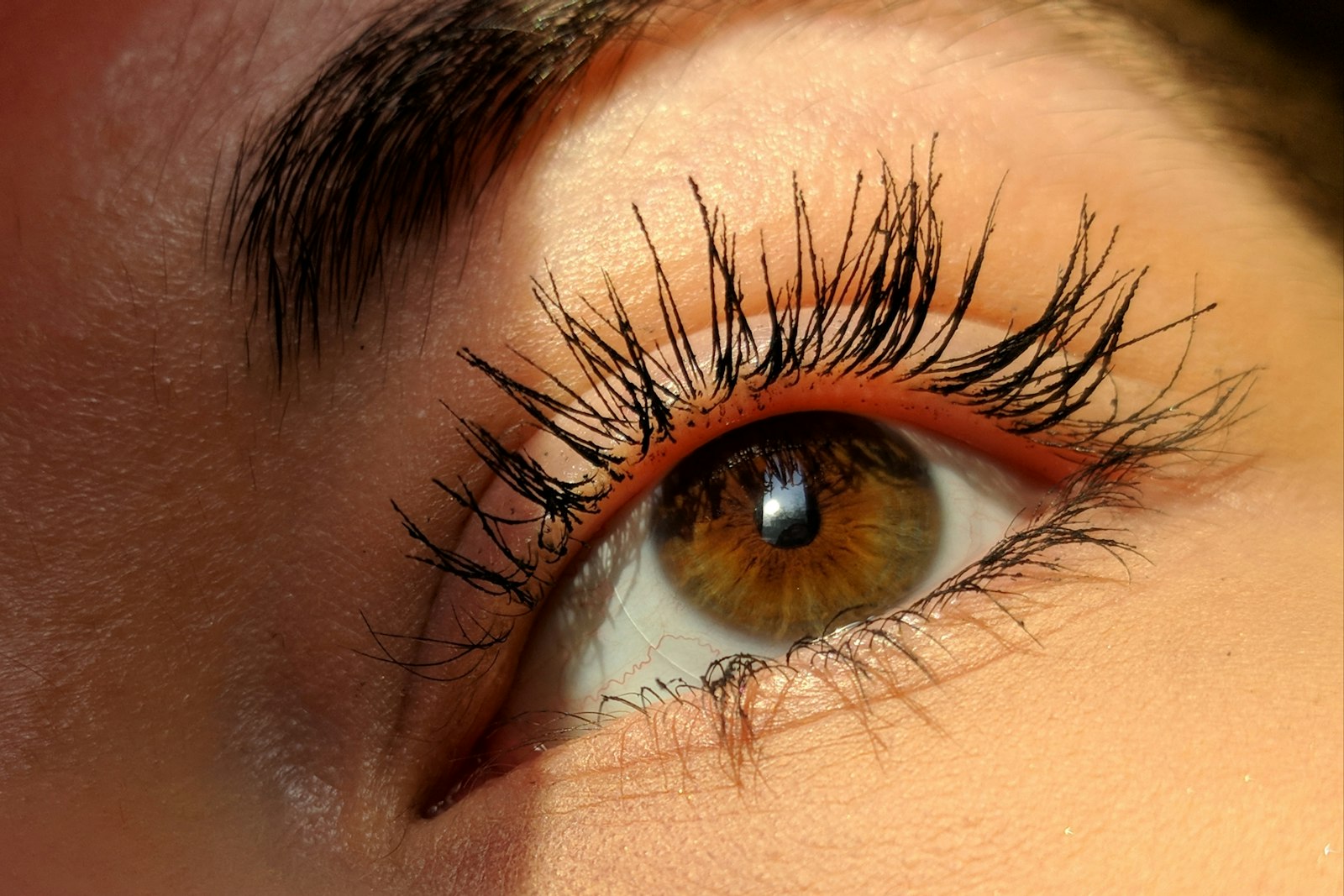 Rehaussement ou extensions de cils : que choisir pour vous ?